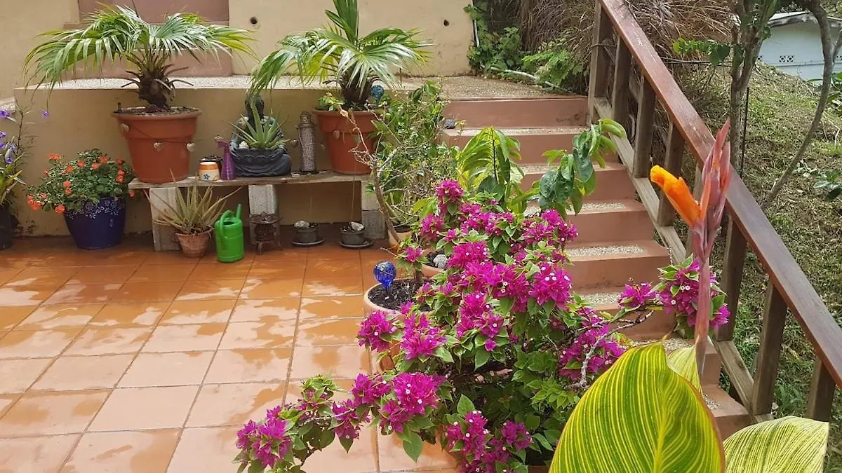 Apartamento Castara Roundhouse - Ocean View